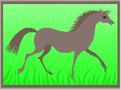 Horse Borading